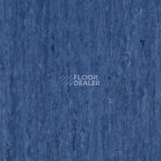 Линолеум Tarkett iq Optima DARK RED BLUE 0849 фото 1 | FLOORDEALER